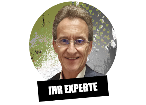 Portrait von Prof. Dr. Holger Philipps