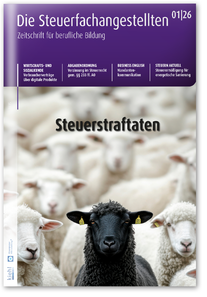 Die Steuerfachangestellten